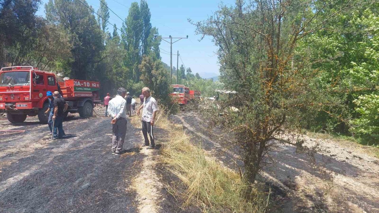 Anız yangını ormana sıçramadan söndürüldü