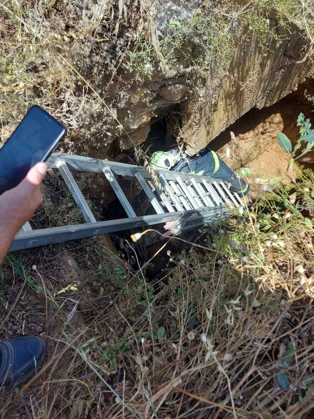 Arazideki kuyuya düşen köpek kurtarıldı