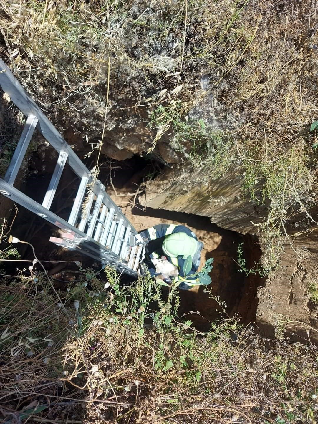 Arazideki kuyuya düşen köpek kurtarıldı