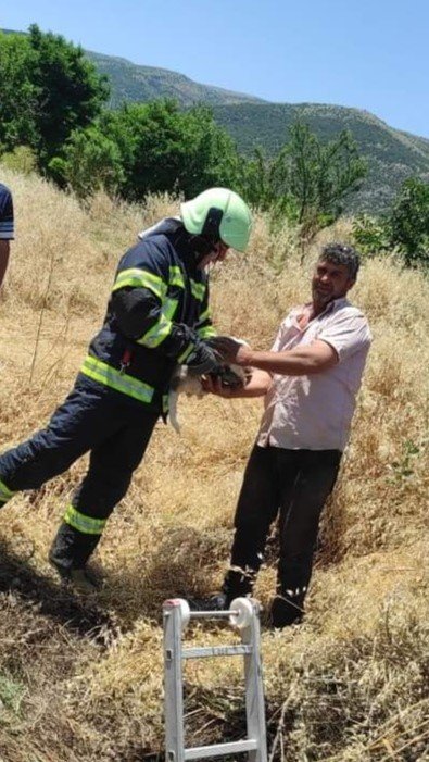 Arazideki kuyuya düşen köpek kurtarıldı