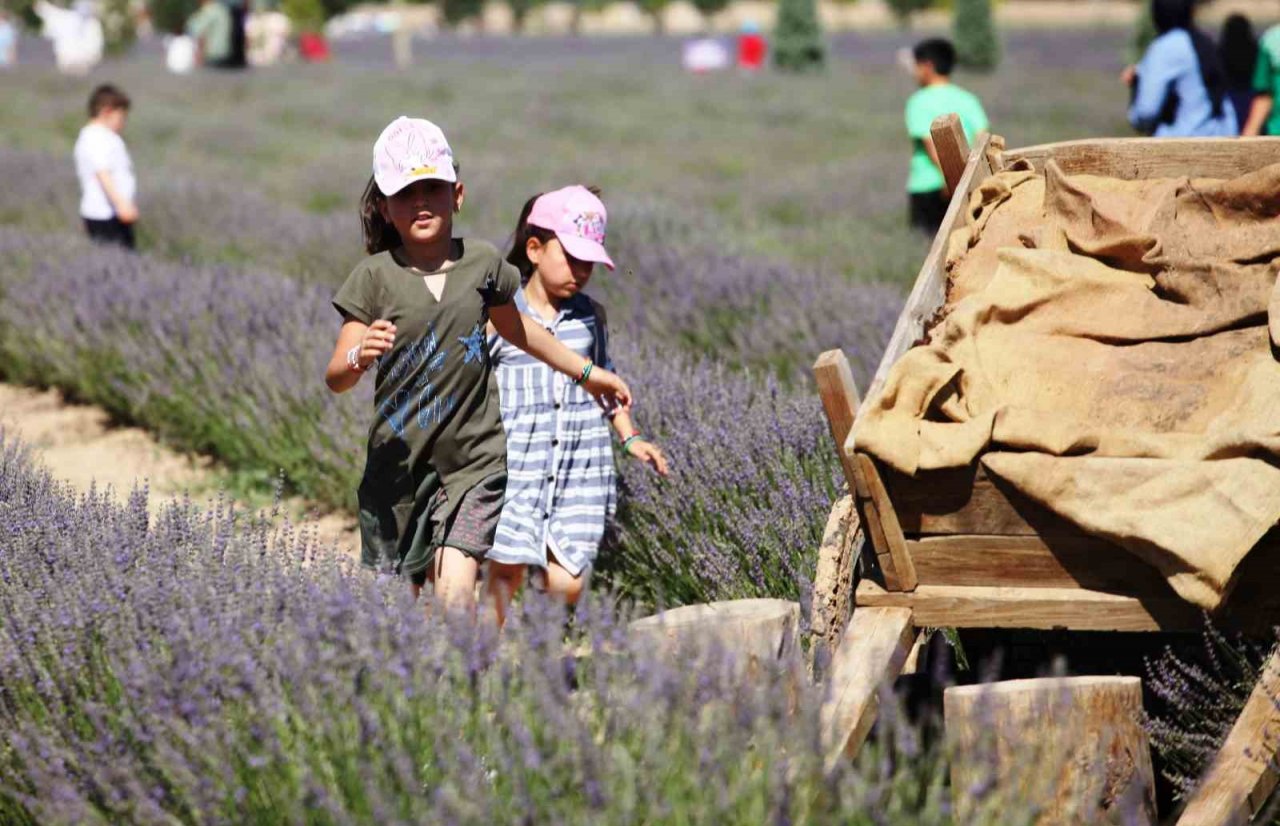 Karatay Lavanta Bahçesi kapılarını ziyaretçilerine açtı