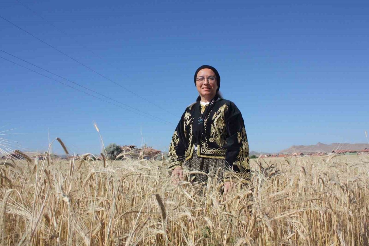 Milletvekili şalvar giydi, biçerdöver ile ekin biçti