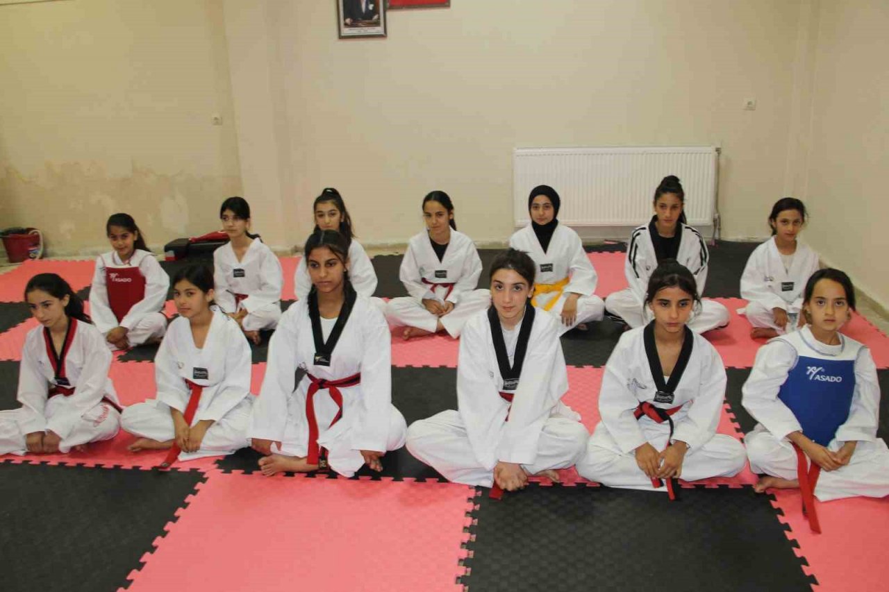 Şırnaklı kadınlar tekvando öğreniyor