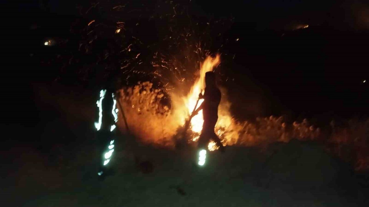 Anız yangını konteynerlere sıçramadan söndürüldü