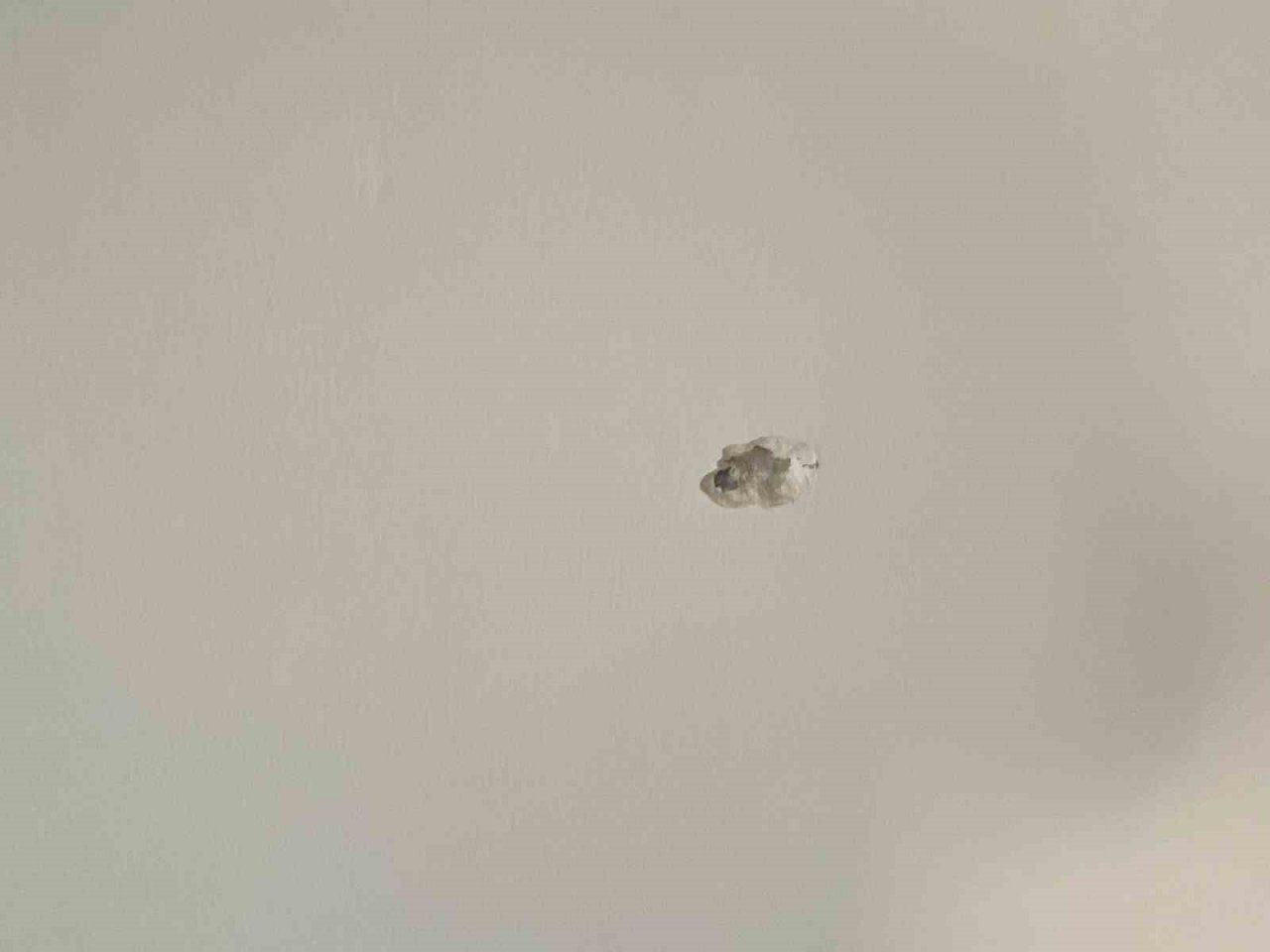 2 çocuk annesi kadın, sabaha karşı evine yapılan pompalı tüfekli saldırıda dehşeti yaşadı