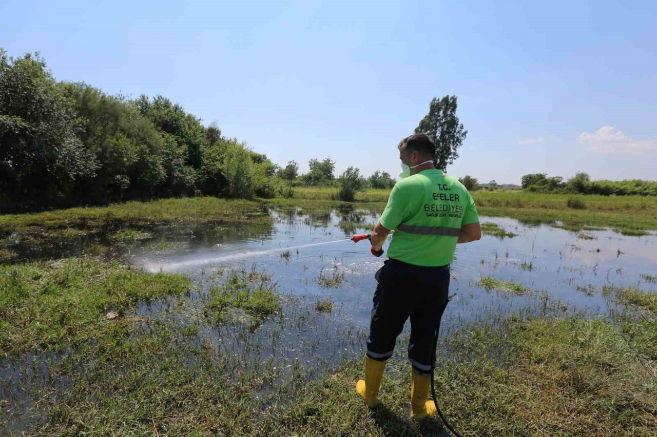 Başkan Atay: “Sivrisineklerle mücadelemiz aralıksız sürüyor”