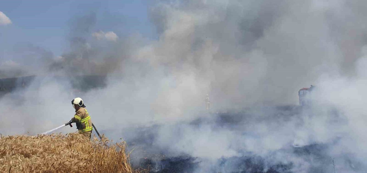 Balıkesir’de 75 dönüm buğday tarlası yandı