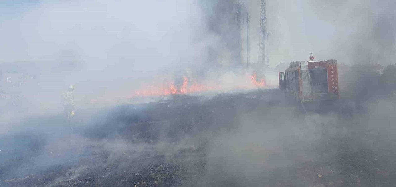 Balıkesir’de 75 dönüm buğday tarlası yandı