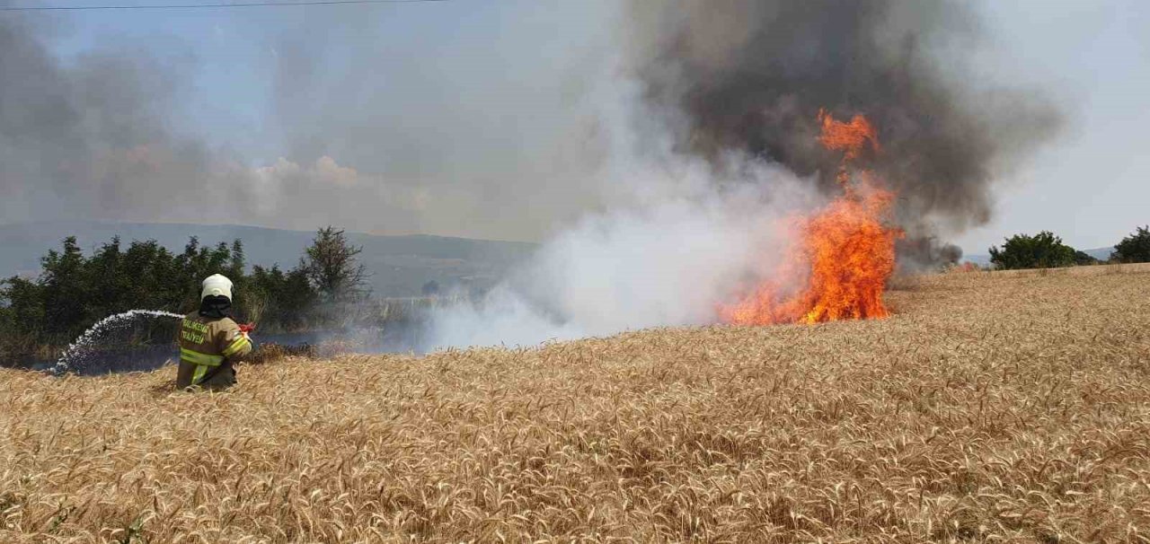 Balıkesir’de 75 dönüm buğday tarlası yandı