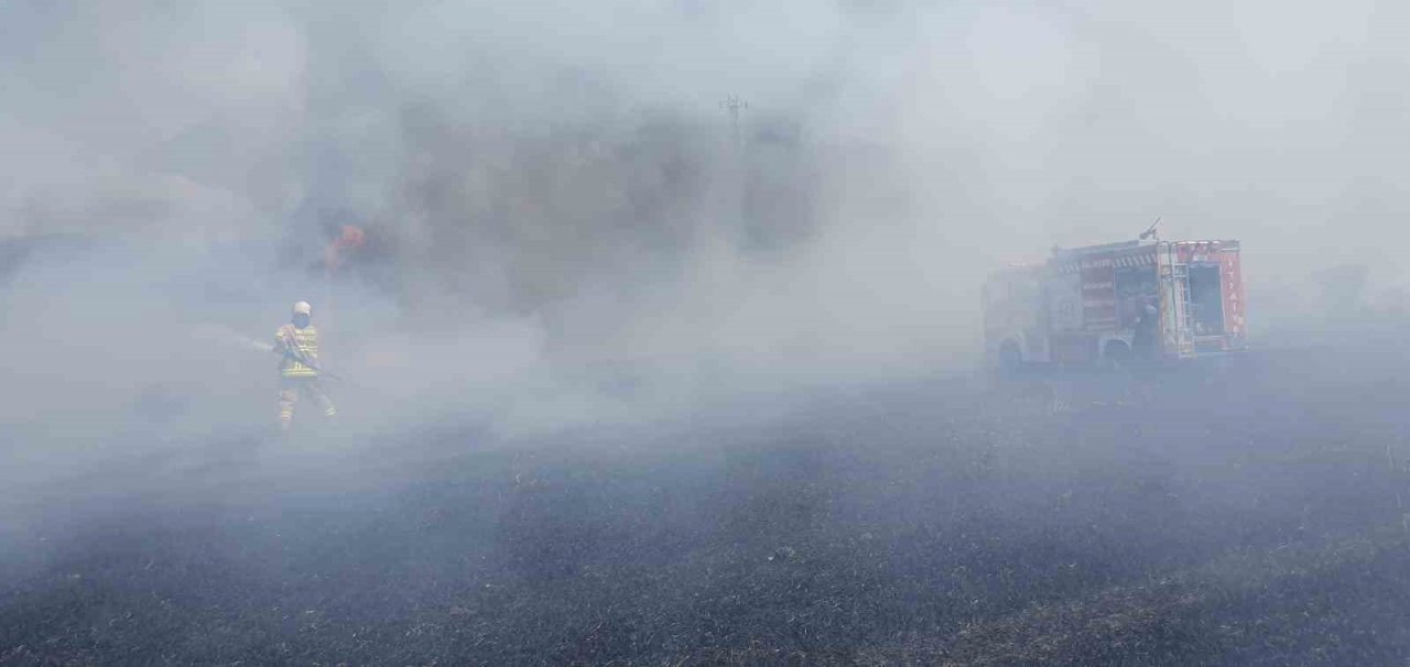 Balıkesir’de 75 dönüm buğday tarlası yandı