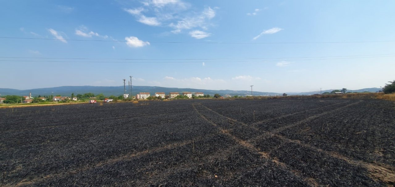 Balıkesir’de 75 dönüm buğday tarlası yandı