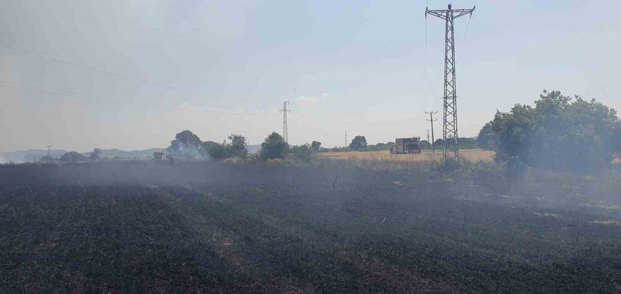 Balıkesir’de 75 dönüm buğday tarlası yandı