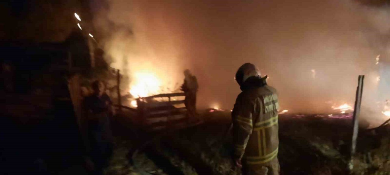 Edremit’te saya yangını