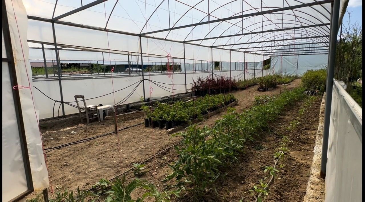 Belediye Başkanı Doğan: "Ata tohumlarına sahip çıkıyoruz”