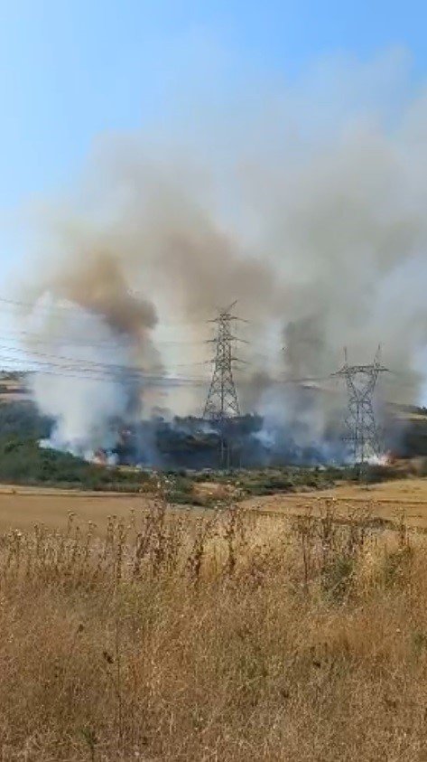 Gelibolu’da 1 hektar tarım arazisi yanarak kül oldu