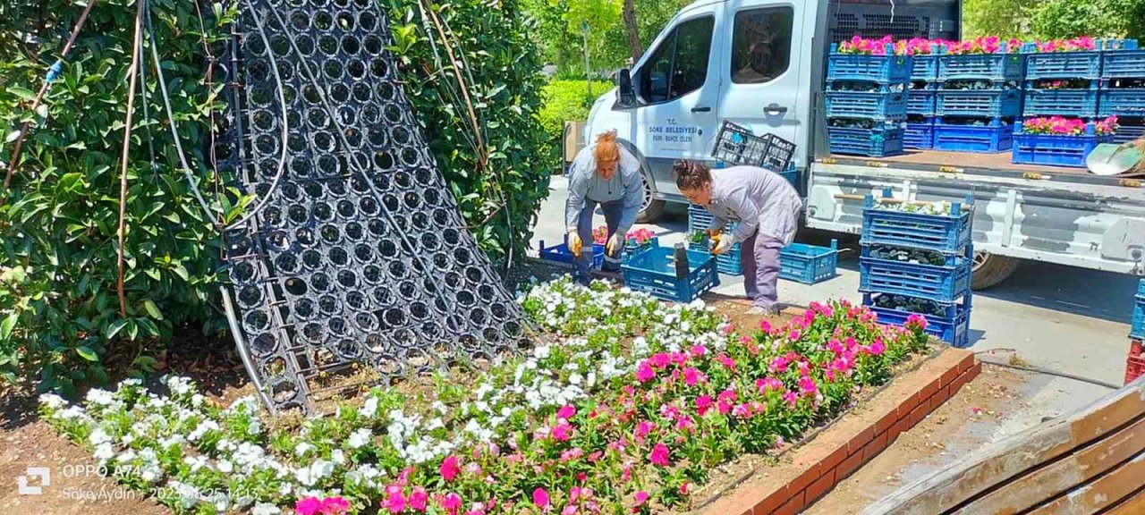 Söke çiçeklerle renkleniyor