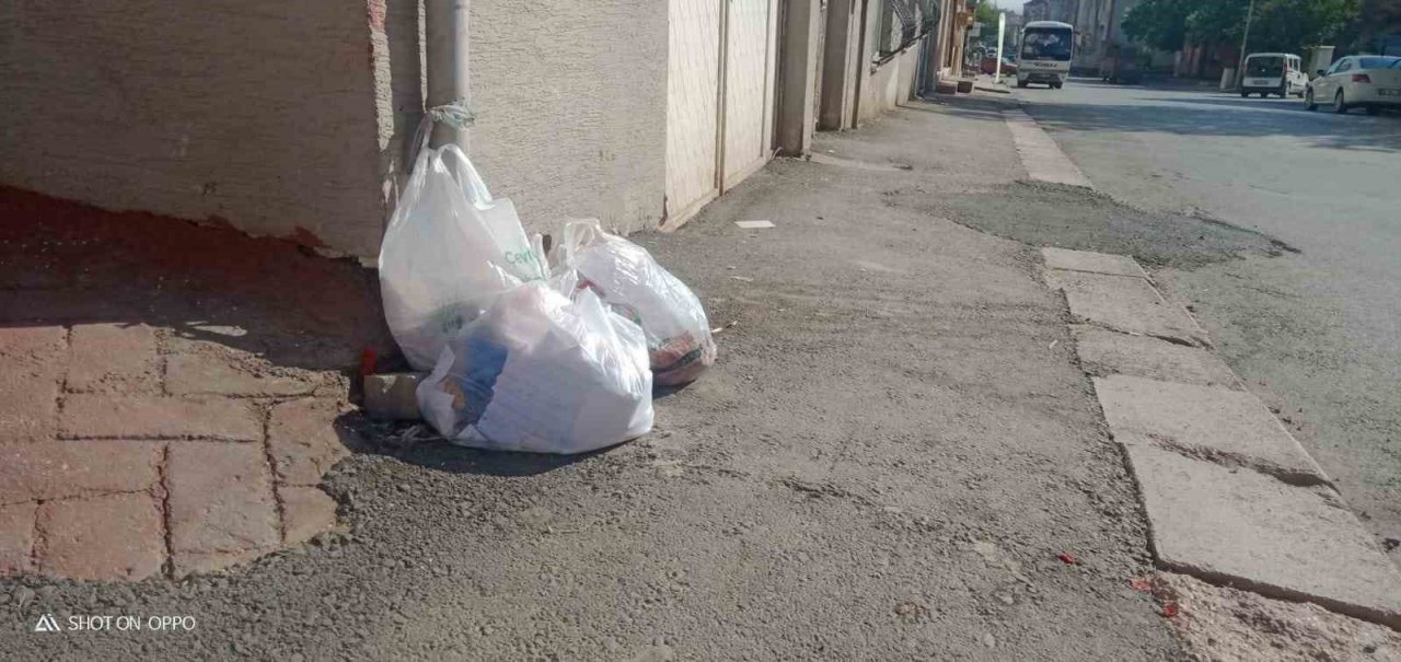 Vatandaşlar çöp konteynırı olmamasından yakındı