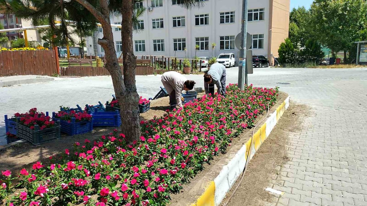 Söke çiçeklerle renkleniyor