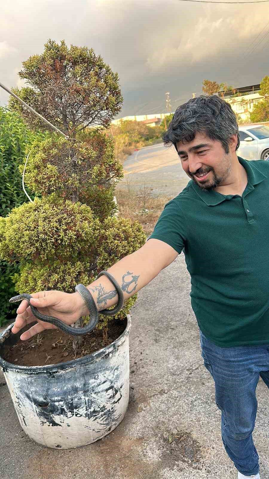 Elleriyle yakaladığı yılanı, ‘insanlardan uzak dur’ diyerek doğaya saldı