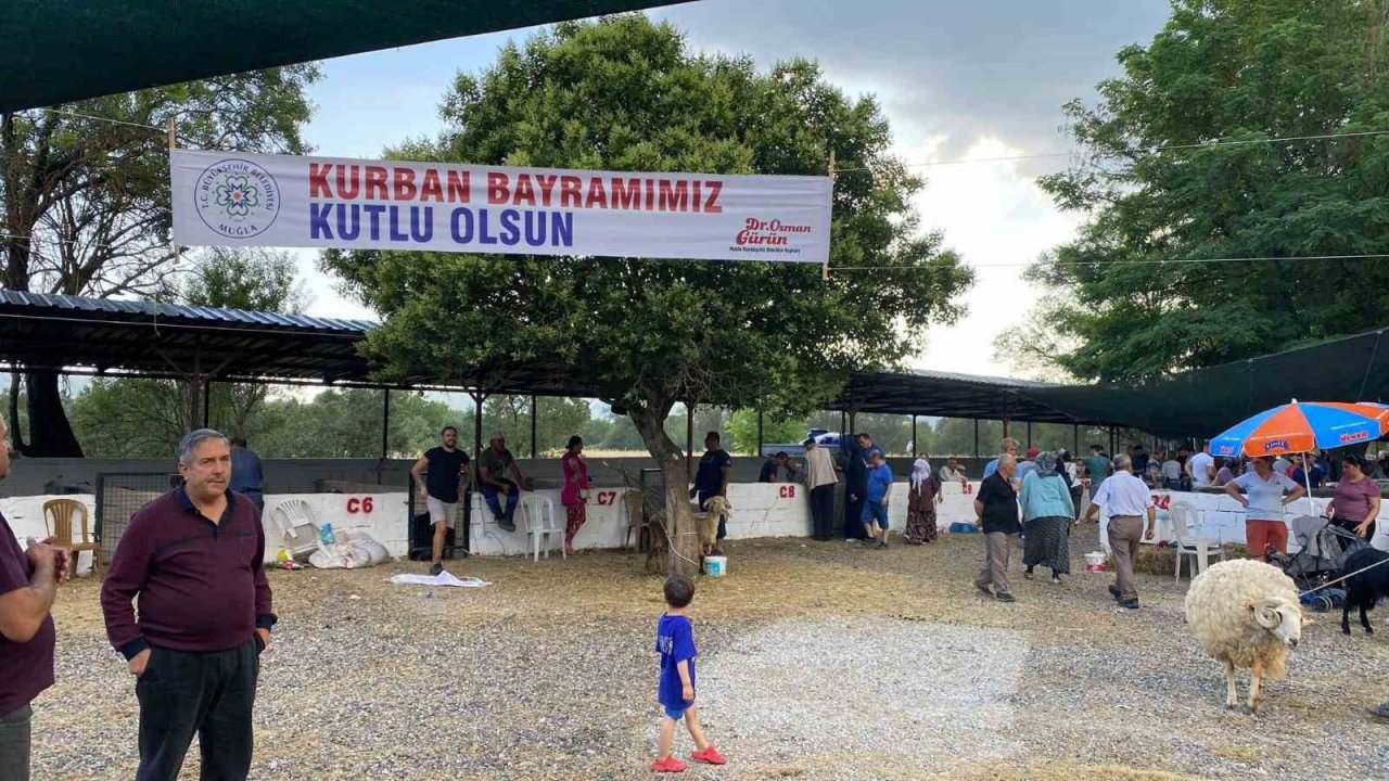 Muğla’da kurban kesim oranları arttı