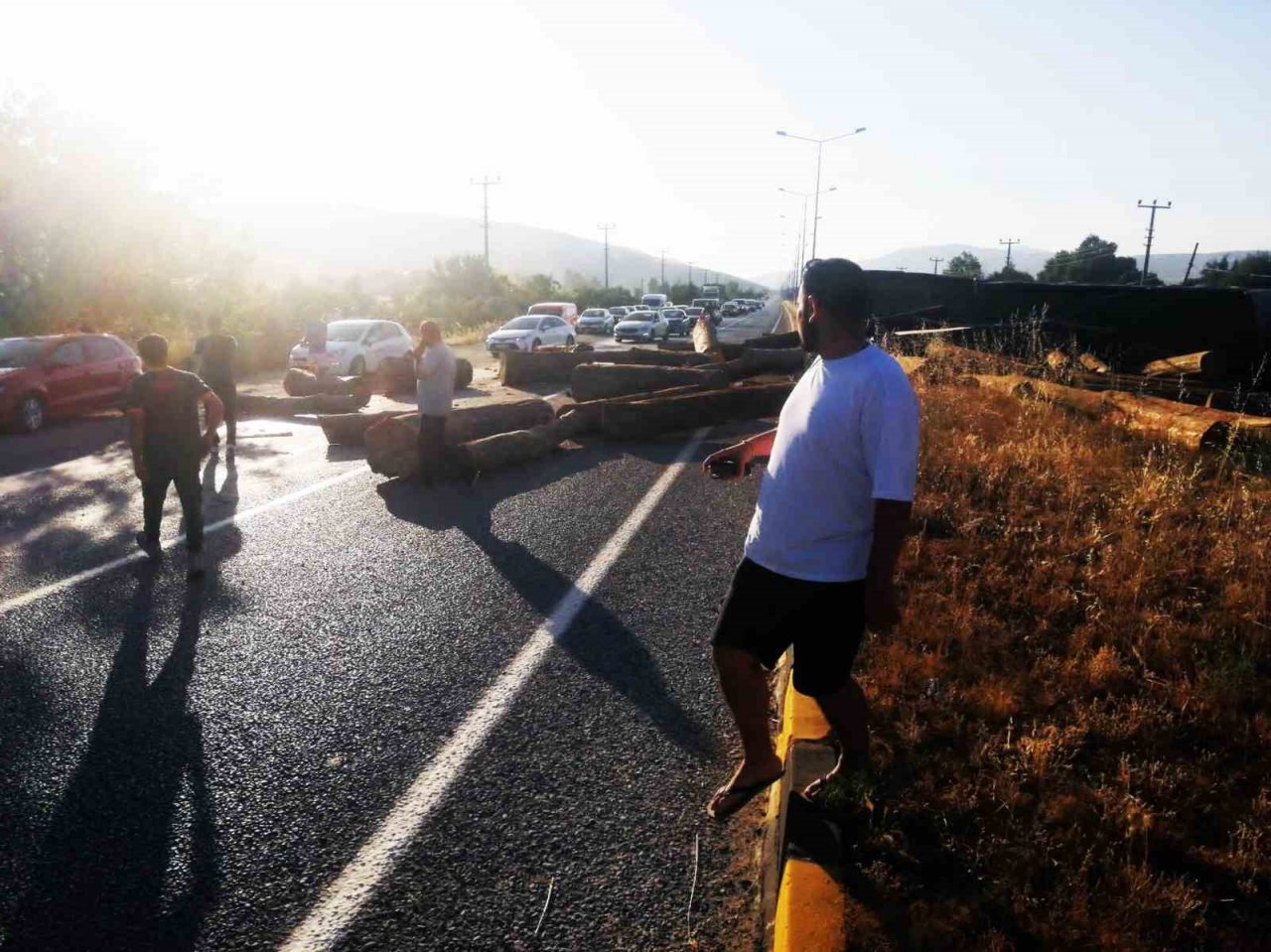 Tomruk yüklü tır devrildi, tomruklar yola saçıldı