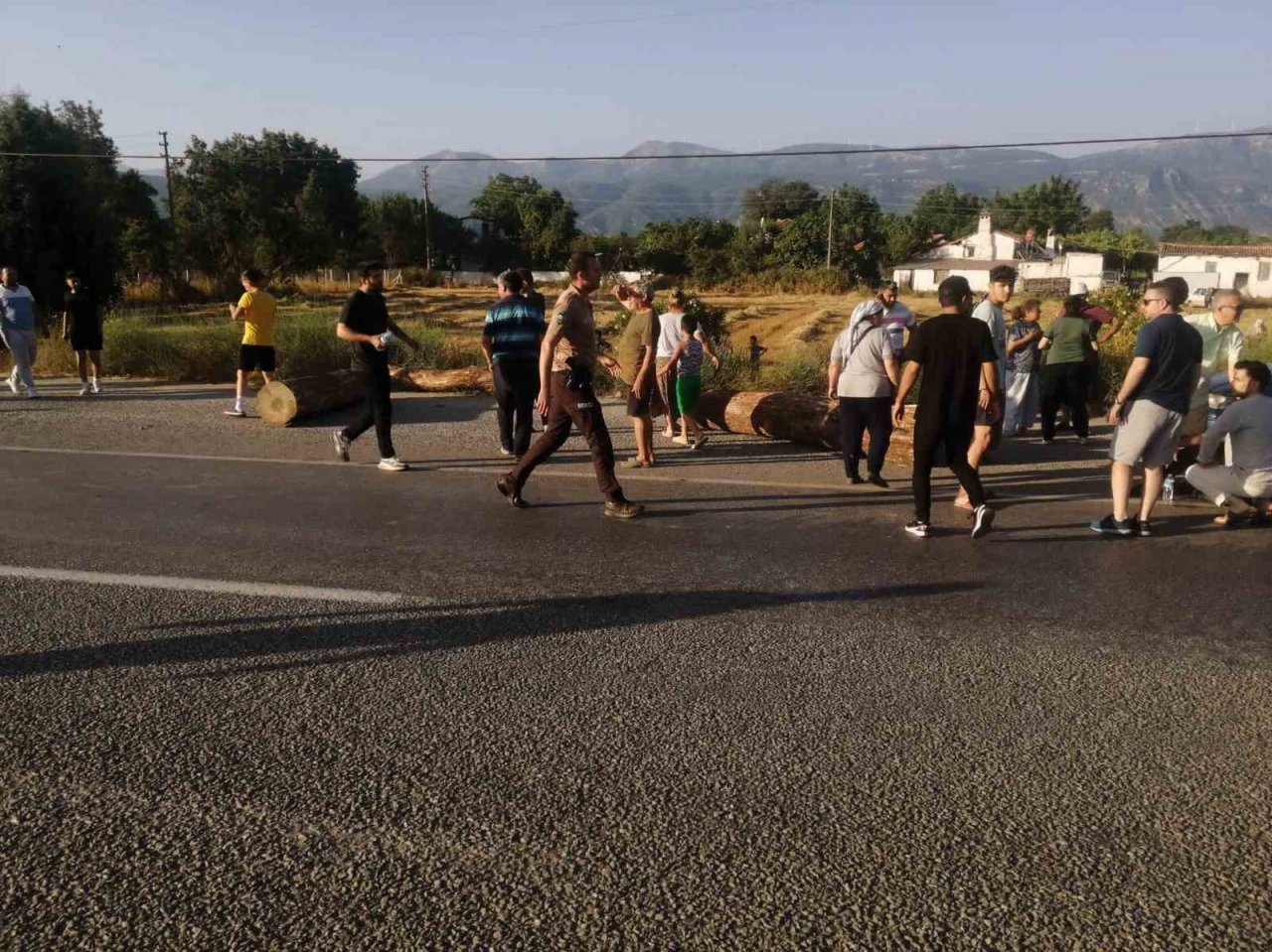 Tomruk yüklü tır devrildi, tomruklar yola saçıldı