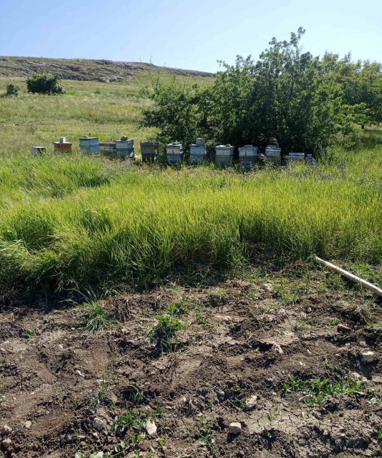 2 gün önce kaybolan adam ölü olarak bulundu