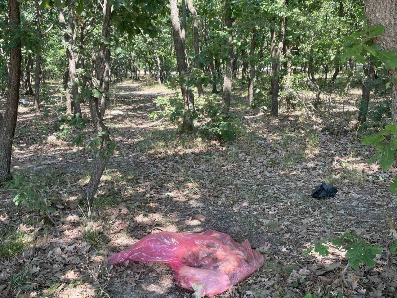 Ormanlık alan yine çöplüğe döndü