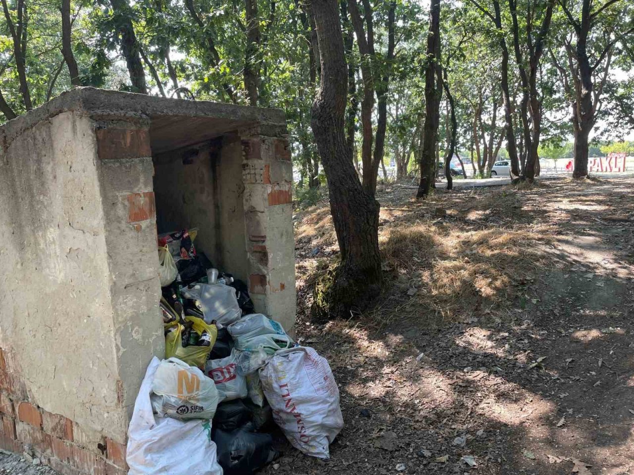 Ormanlık alan yine çöplüğe döndü