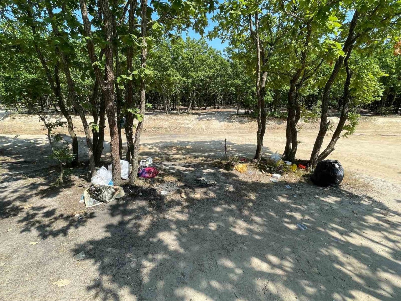 Ormanlık alan yine çöplüğe döndü