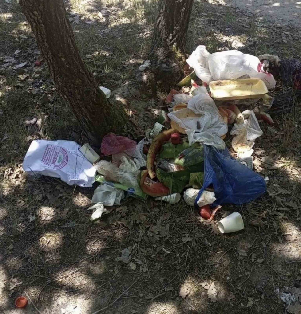 Ormanlık alan yine çöplüğe döndü