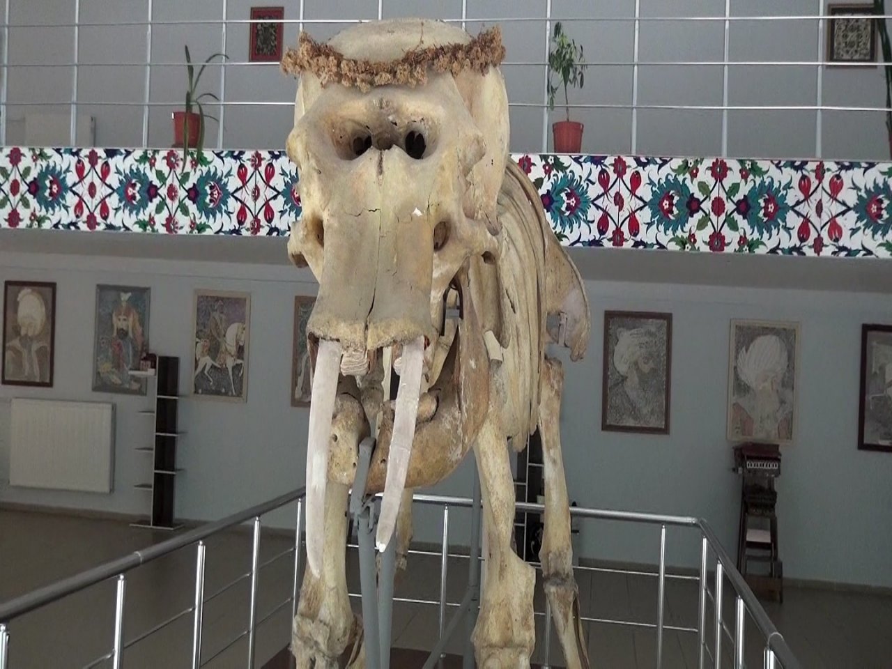 Türkiye’nin canlı ve minarel türleri bu müzede sergileniyor