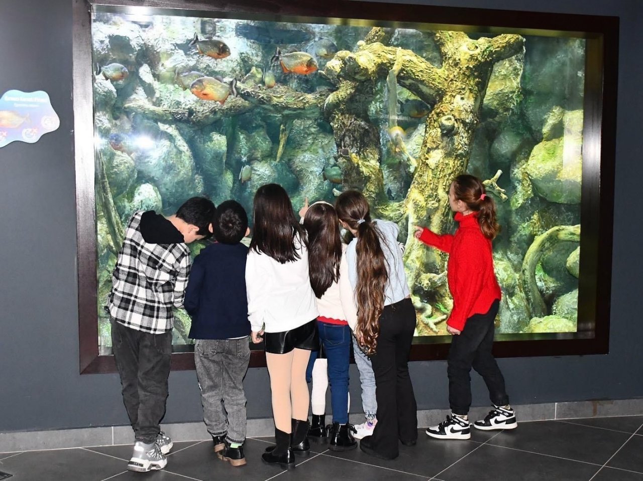 Trabzon Akvaryum dolup taşıyor