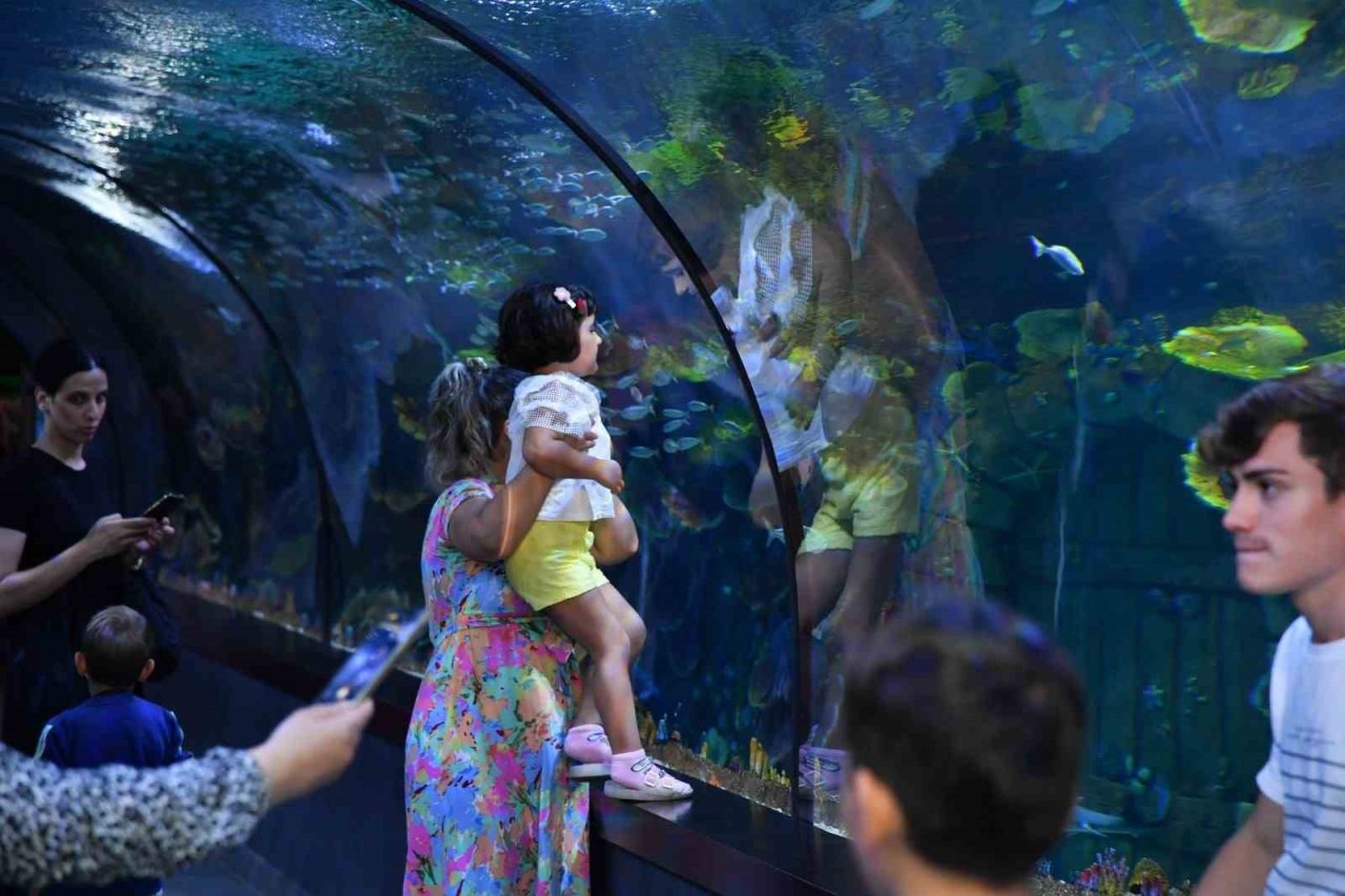 Trabzon Akvaryum dolup taşıyor