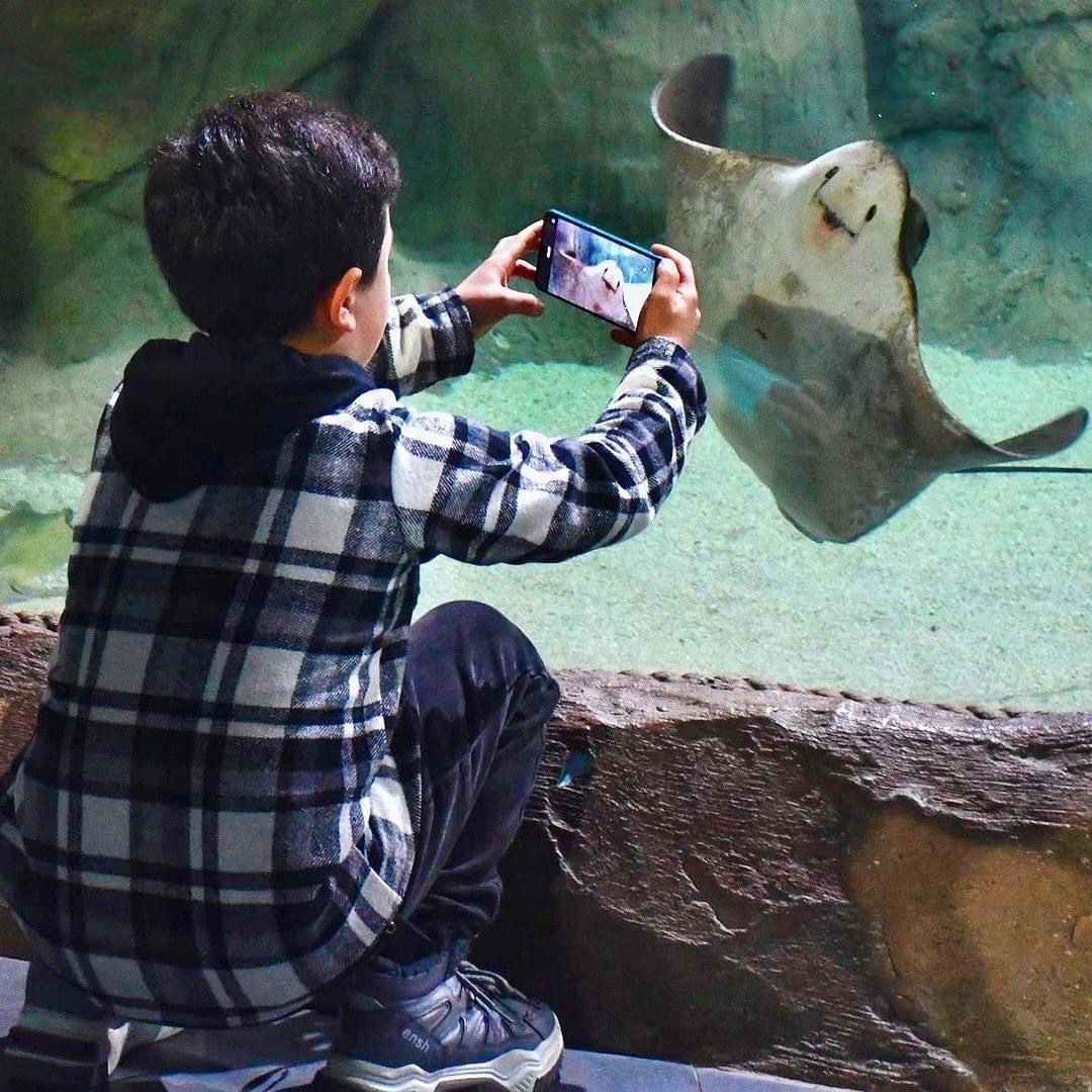 Trabzon Akvaryum dolup taşıyor