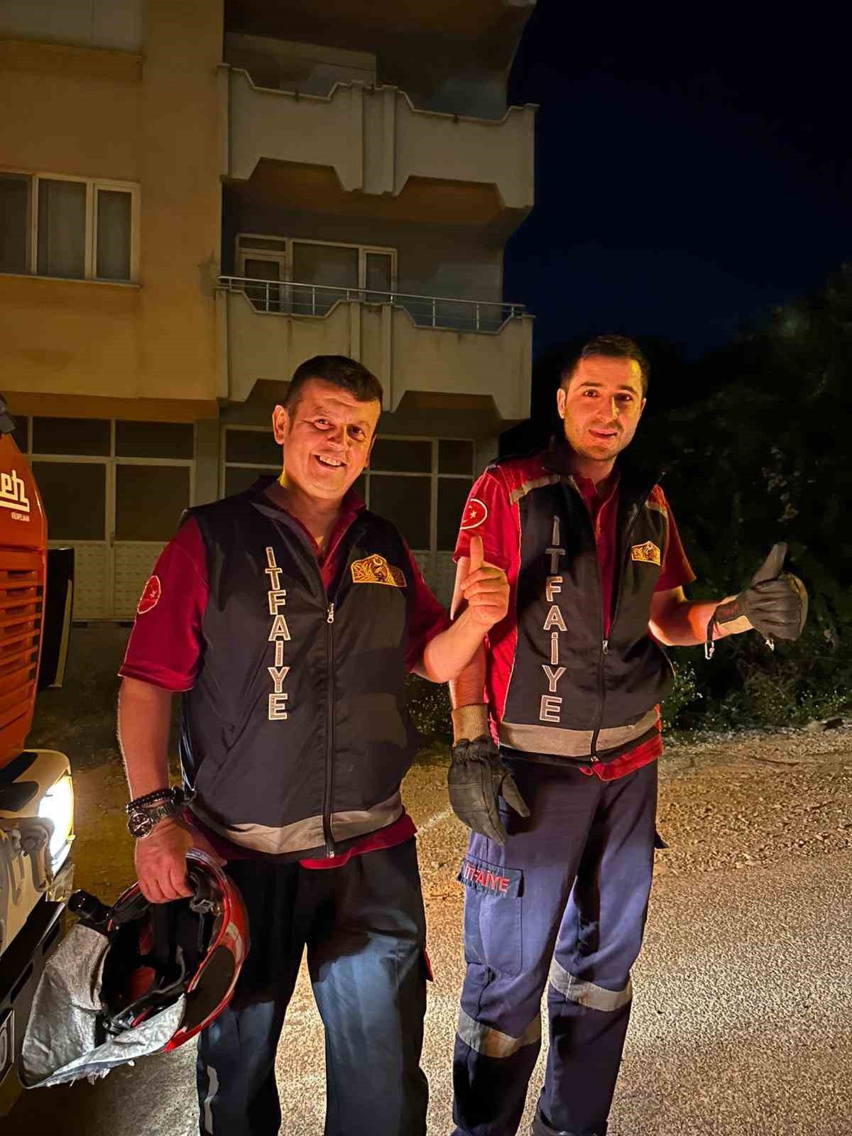 Ağaçta mahsur kalan kediyi itfaiye kurtardı