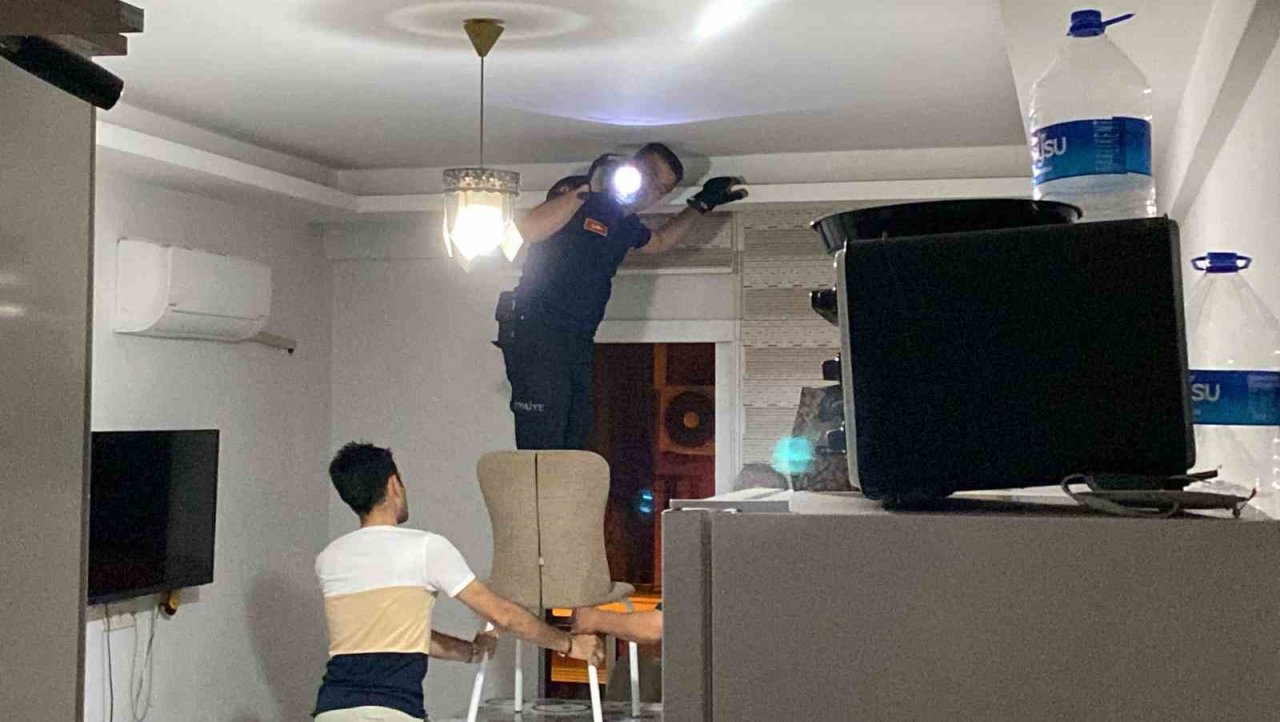 Aydın’da yarasa paniği