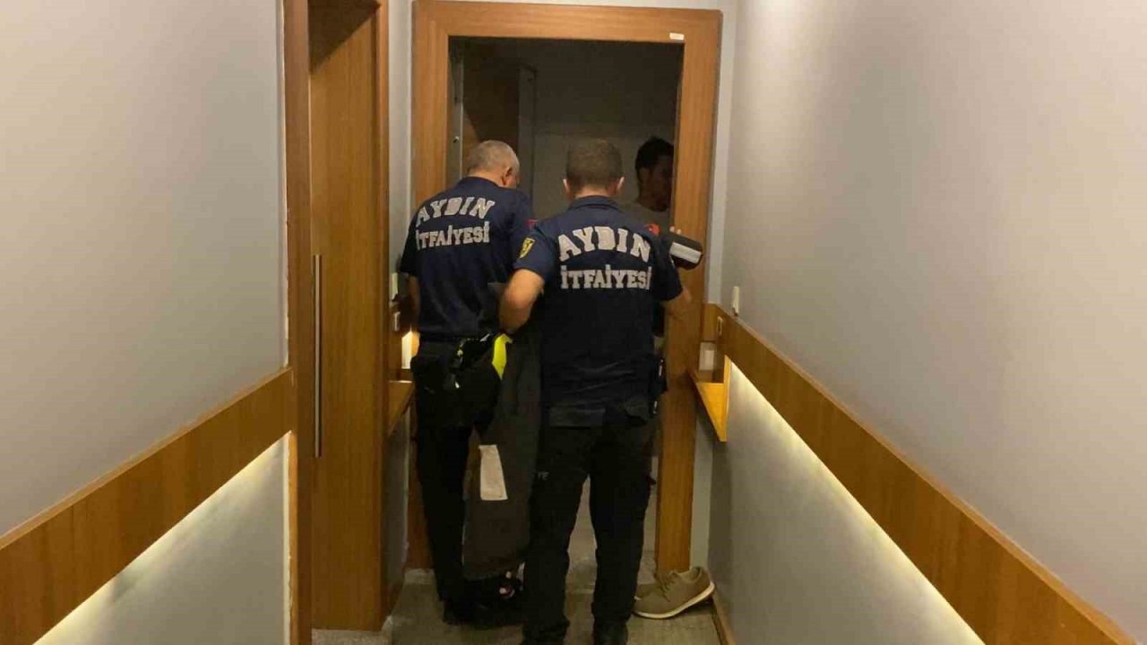 Aydın’da yarasa paniği