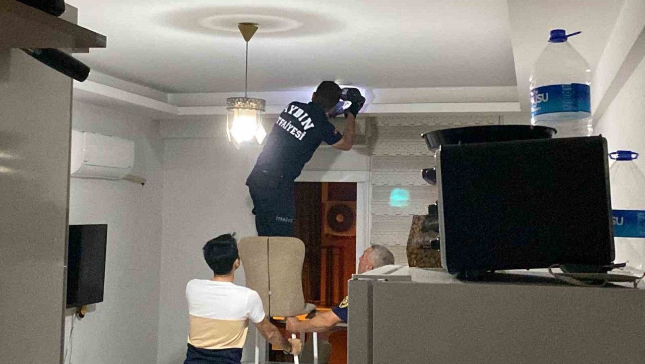 Aydın’da yarasa paniği