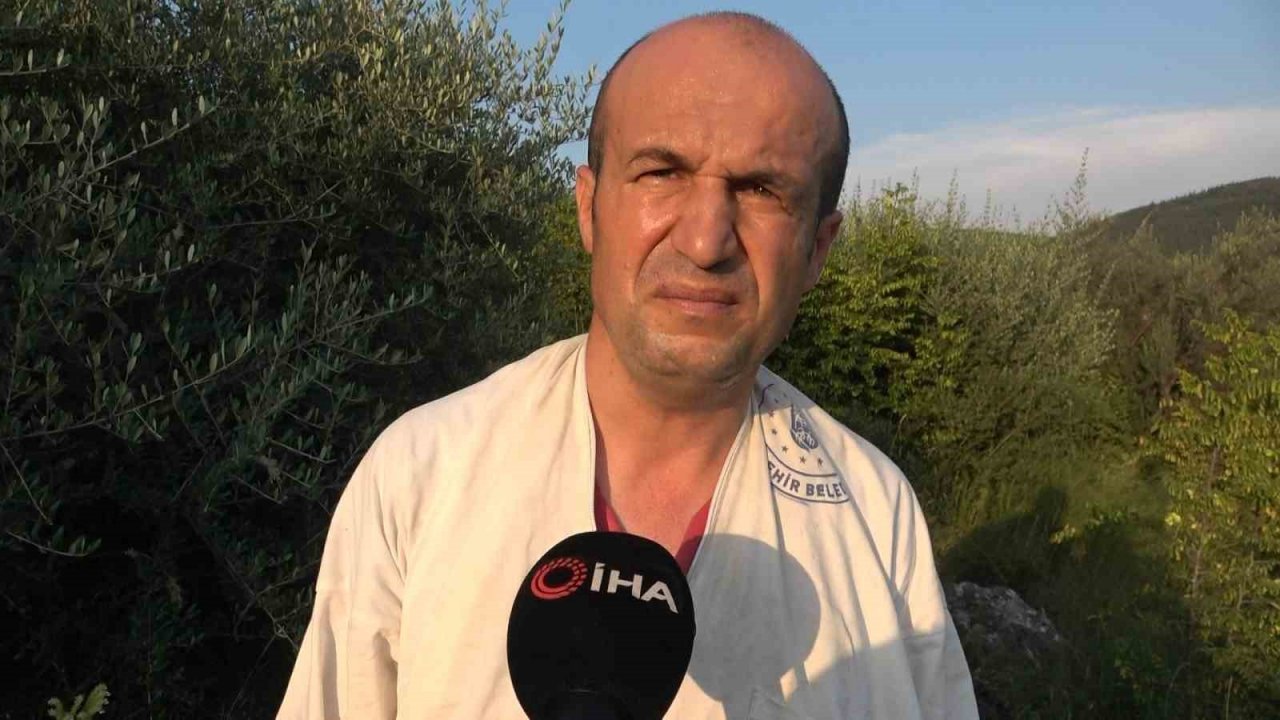 Bursa’da ilginç hırsızlık...Arıları kovanlarıyla birlikte çaldılar