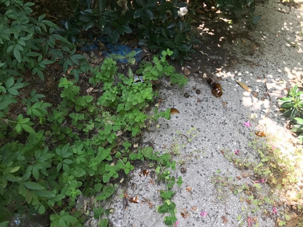 Eski sağlık ocağı sahipsiz kaldı