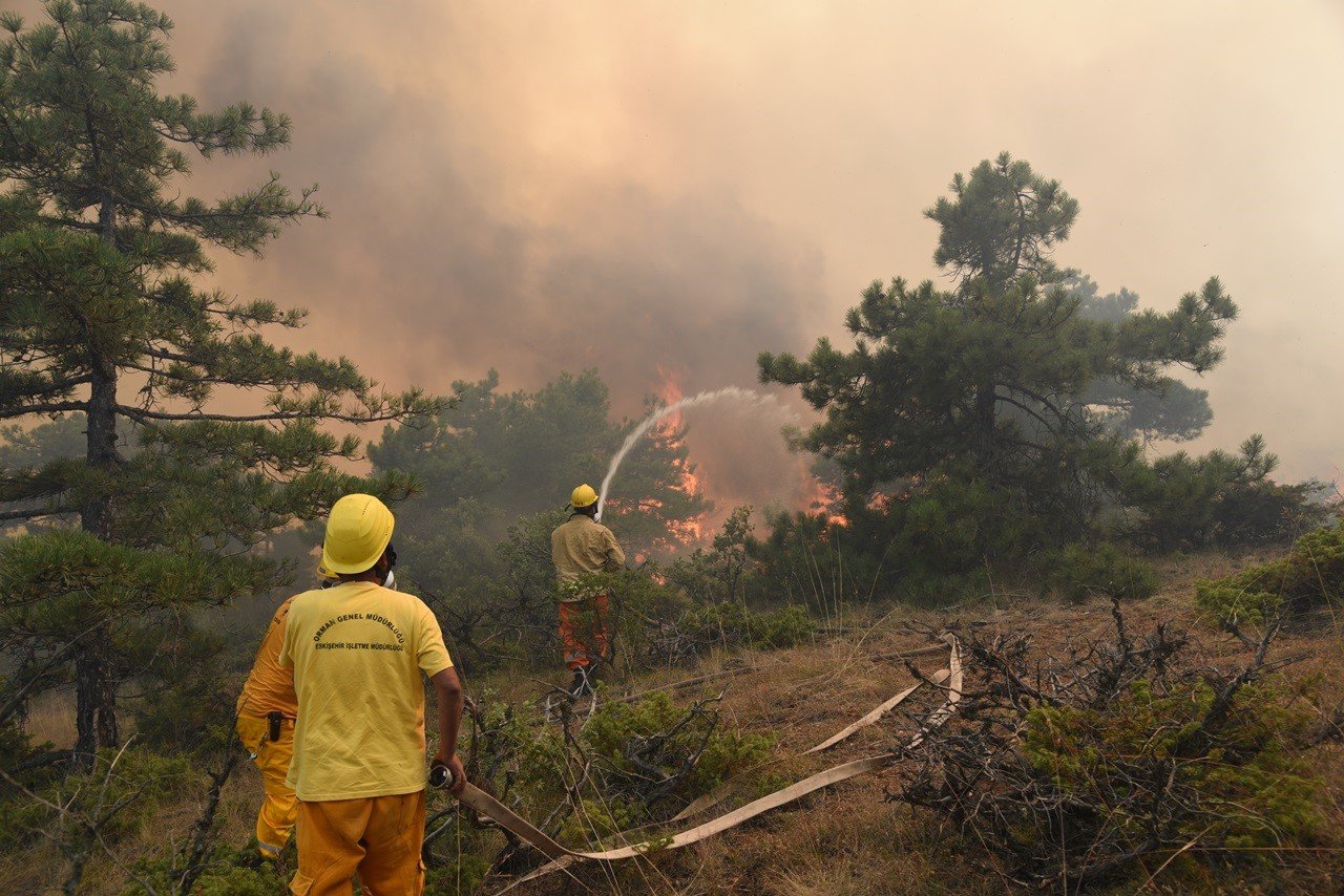 Orman yangınlarının çoğu yıldırım kaynaklı