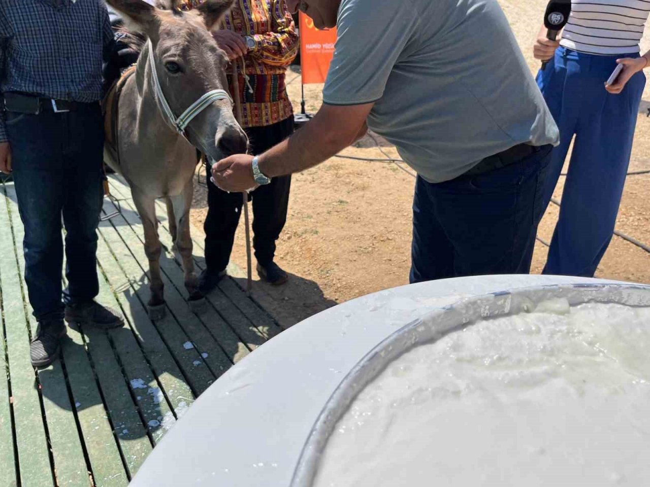 Altını çocuklar buldu, yoğurdu eşek yedi