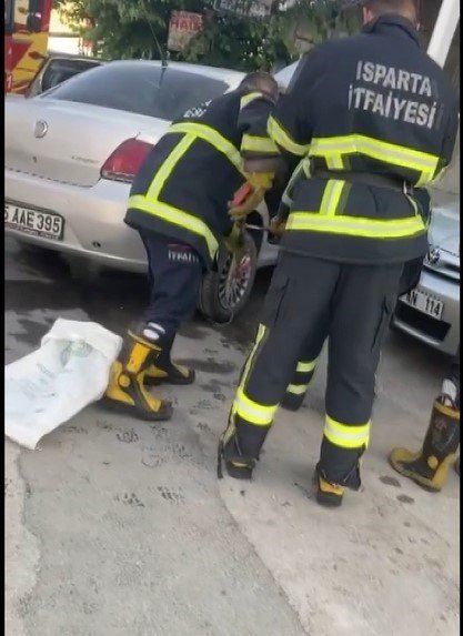 Otomobilin motor kısmına giren yılan bagajdan çıkarıldı