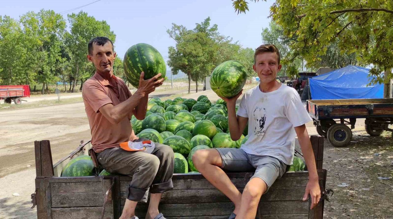 Karpuz nasıl seçilir? Karpuz hakkında ilginç bilgiler