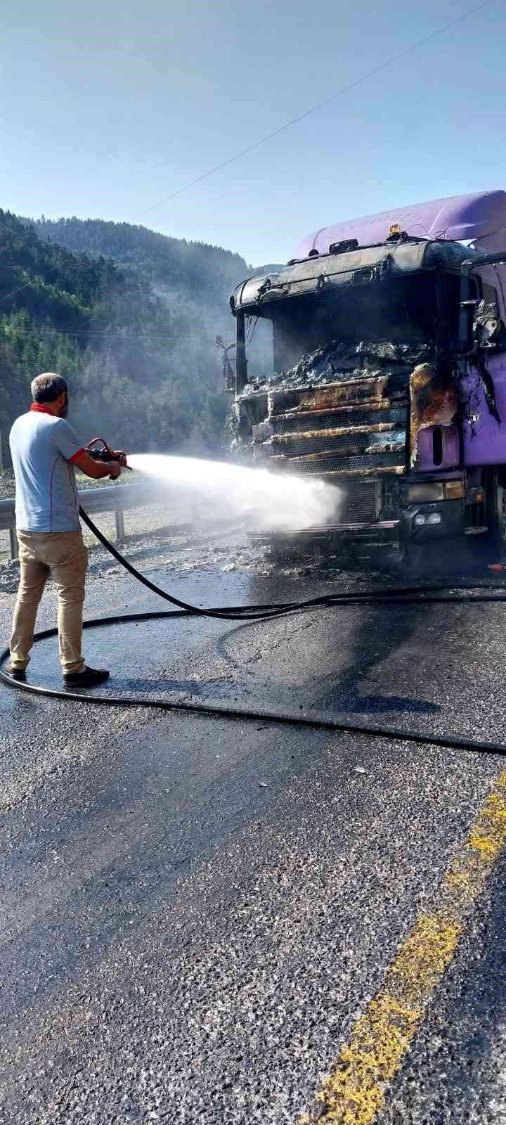 Kastamonu’da seyir halindeki tır alev alev yandı