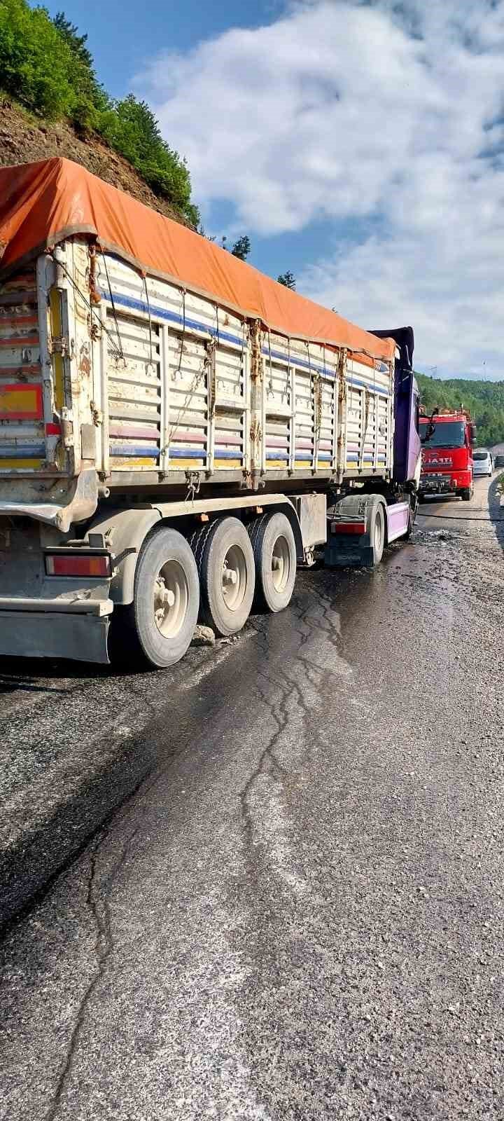 Kastamonu’da seyir halindeki tır alev alev yandı