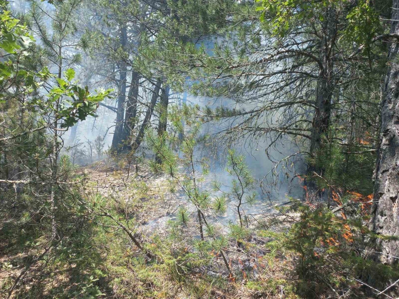 Yıldırım düşen ormanda çıkan yangın söndürüldü
