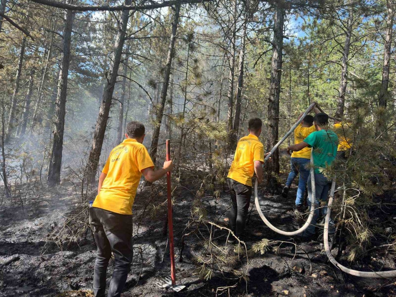 Yıldırım düşen ormanda çıkan yangın söndürüldü