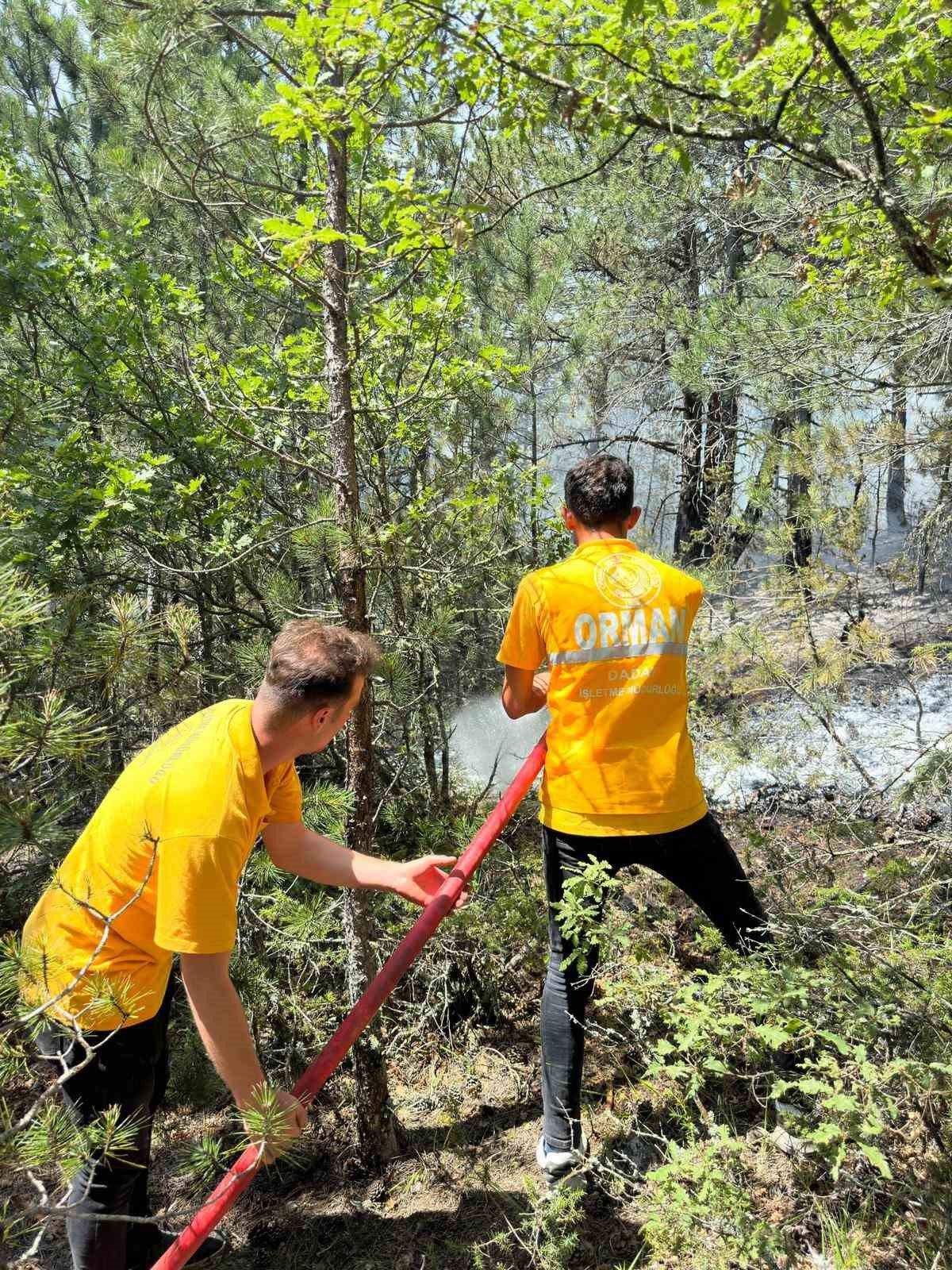 Yıldırım düşen ormanda çıkan yangın söndürüldü